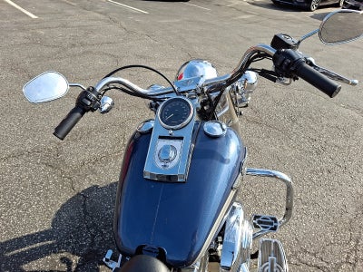 2003 Harley-Davidson 100th Anniversary FLSTF1